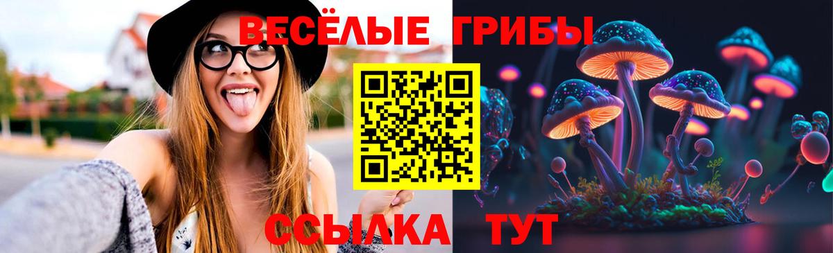 Балахна  Галлюциногенные грибы мицелий  Галлюциногенные грибы Cubensis  Вход с VPN 